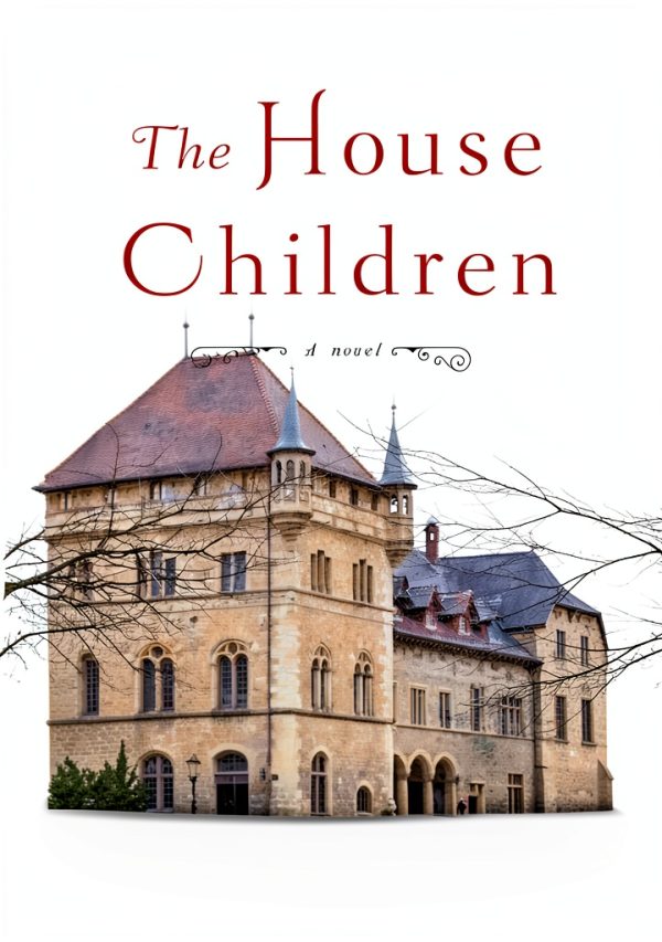SparkPress English eBook Teen Fiction Orphans Foster Homes-0